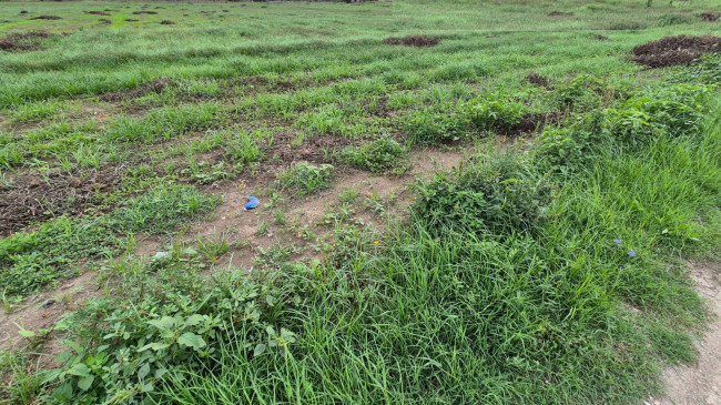 Terreno industriale in vendita a Macerata Campania (CE)