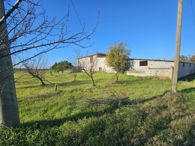 Cascina/Casale
