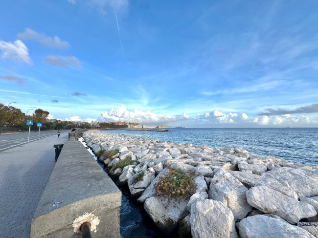 Attività commerciale