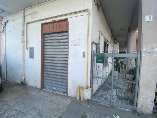 Attività commerciale