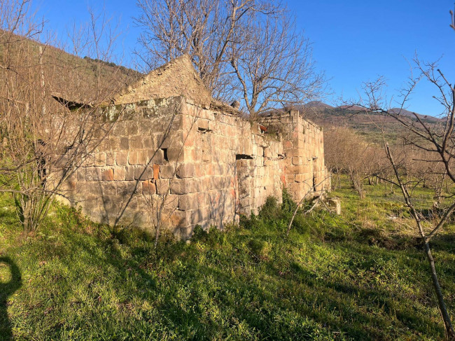 Terreno agricolo - Rudere