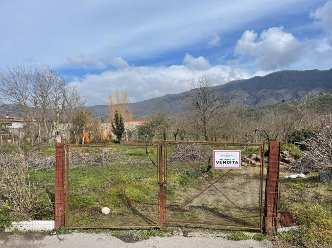 Terreno pianeggiante