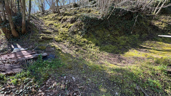 Terreno pianeggiante