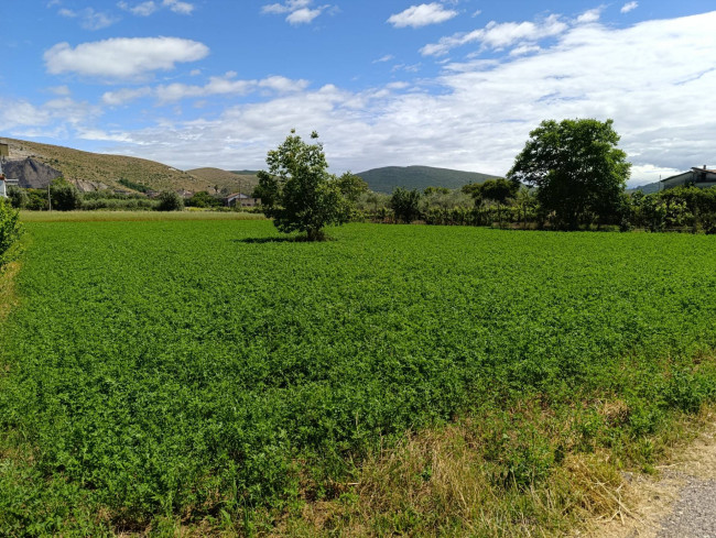 Terreno agricolo