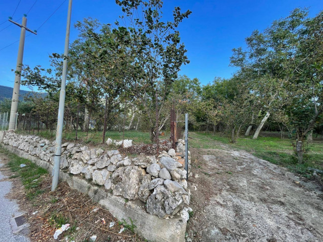 Terreno pianeggiante