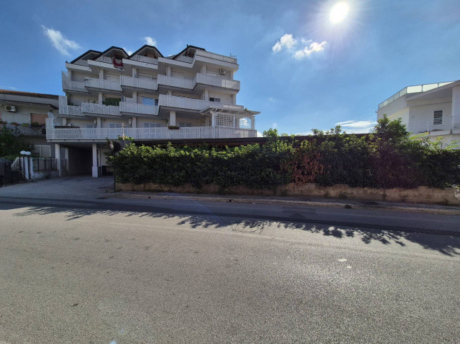 Attività commerciale