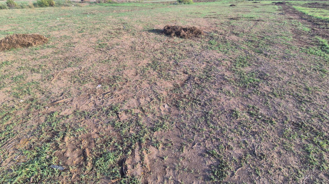 Terreno Artigianale/Commerciale