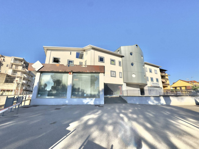 Attività commerciale