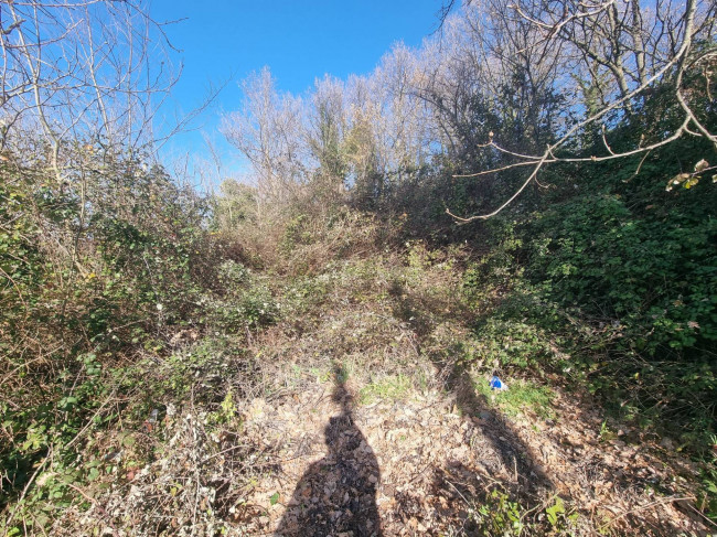 Terreno agr. terrazzato