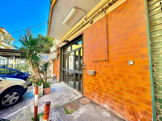 Attività commerciale