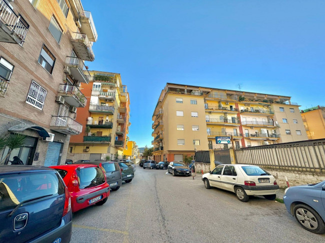 Attività commerciale