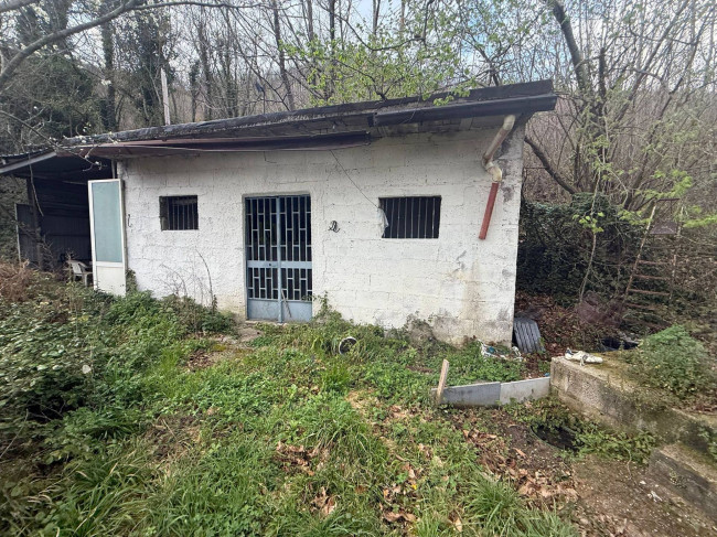 Terreno agricolo - Rudere