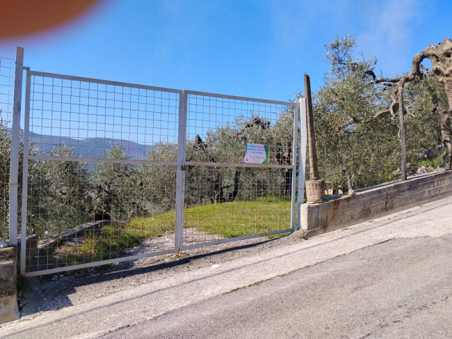 Terreno agr. terrazzato