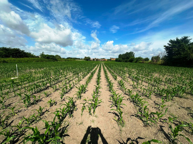 Terreno agricolo