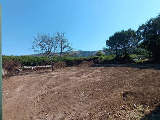 Terreno agricolo