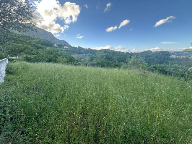 Terreno agricolo