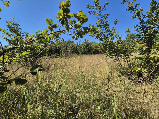Terreno agricolo