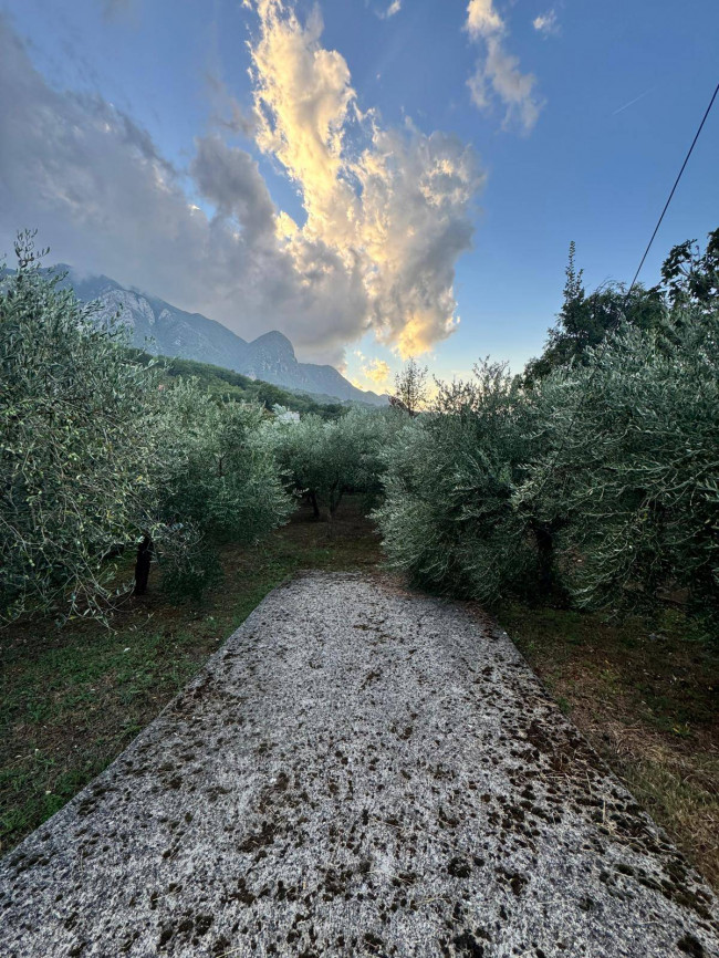 Terreno agricolo