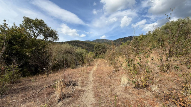 Terreno agricolo