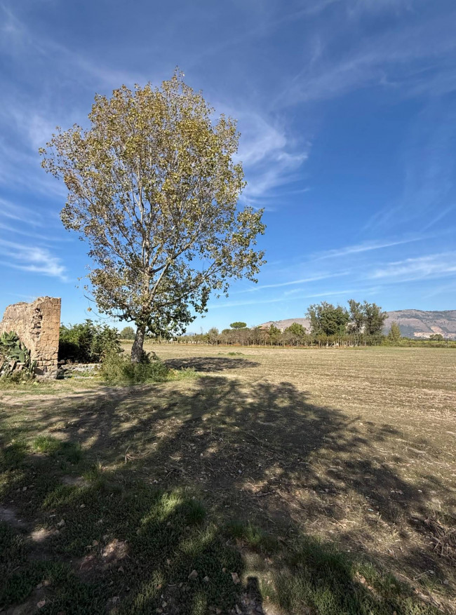 Terreno agricolo