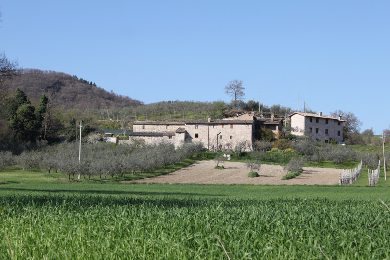 Rustico/Casale/Corte in vendita a Assisi - Zona: Ponte S. Vetturino