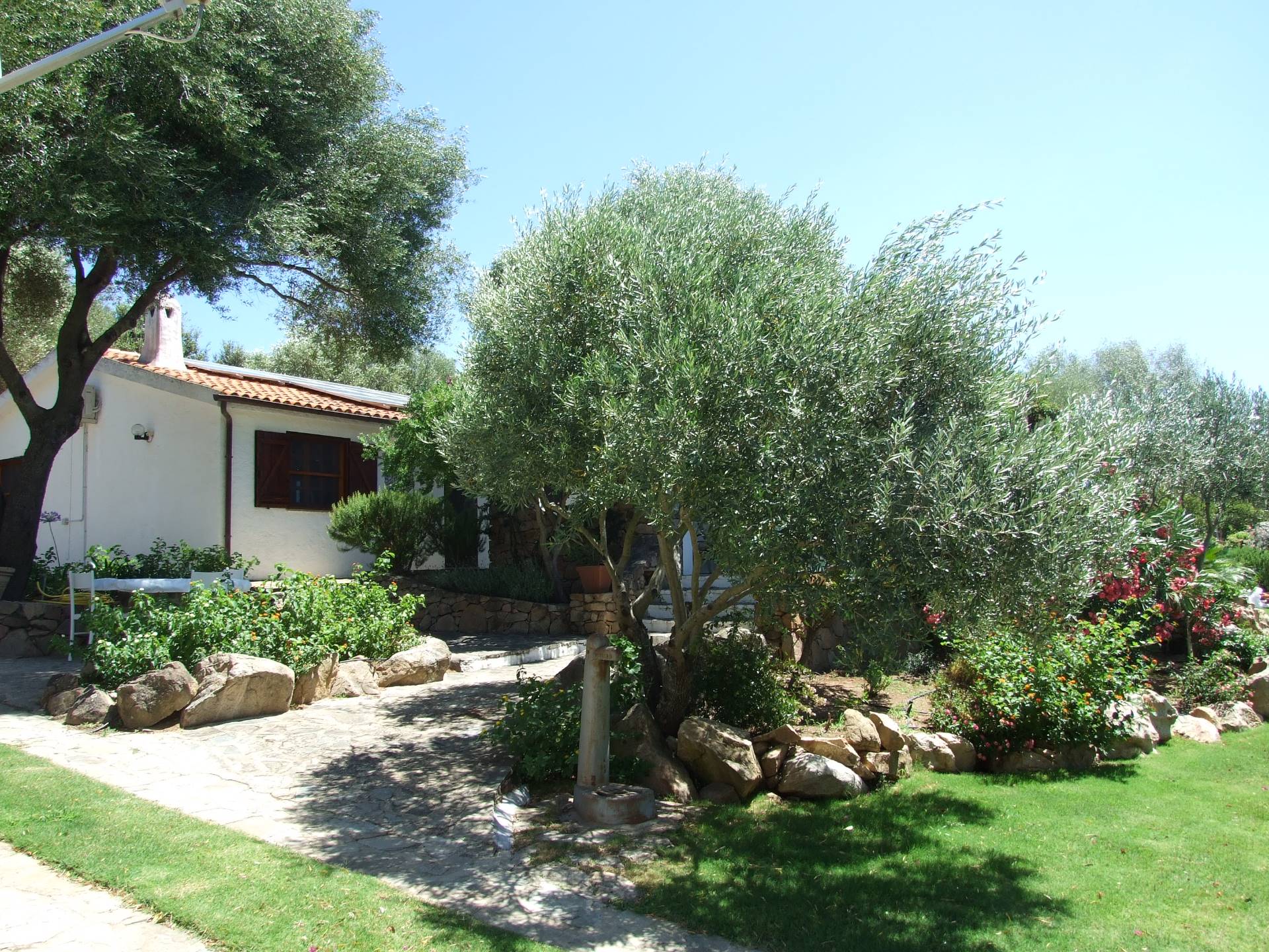 Villa OLBIA-TEMPIO vendita  Porto Rotondo  Coldwell Banker Property Solutions