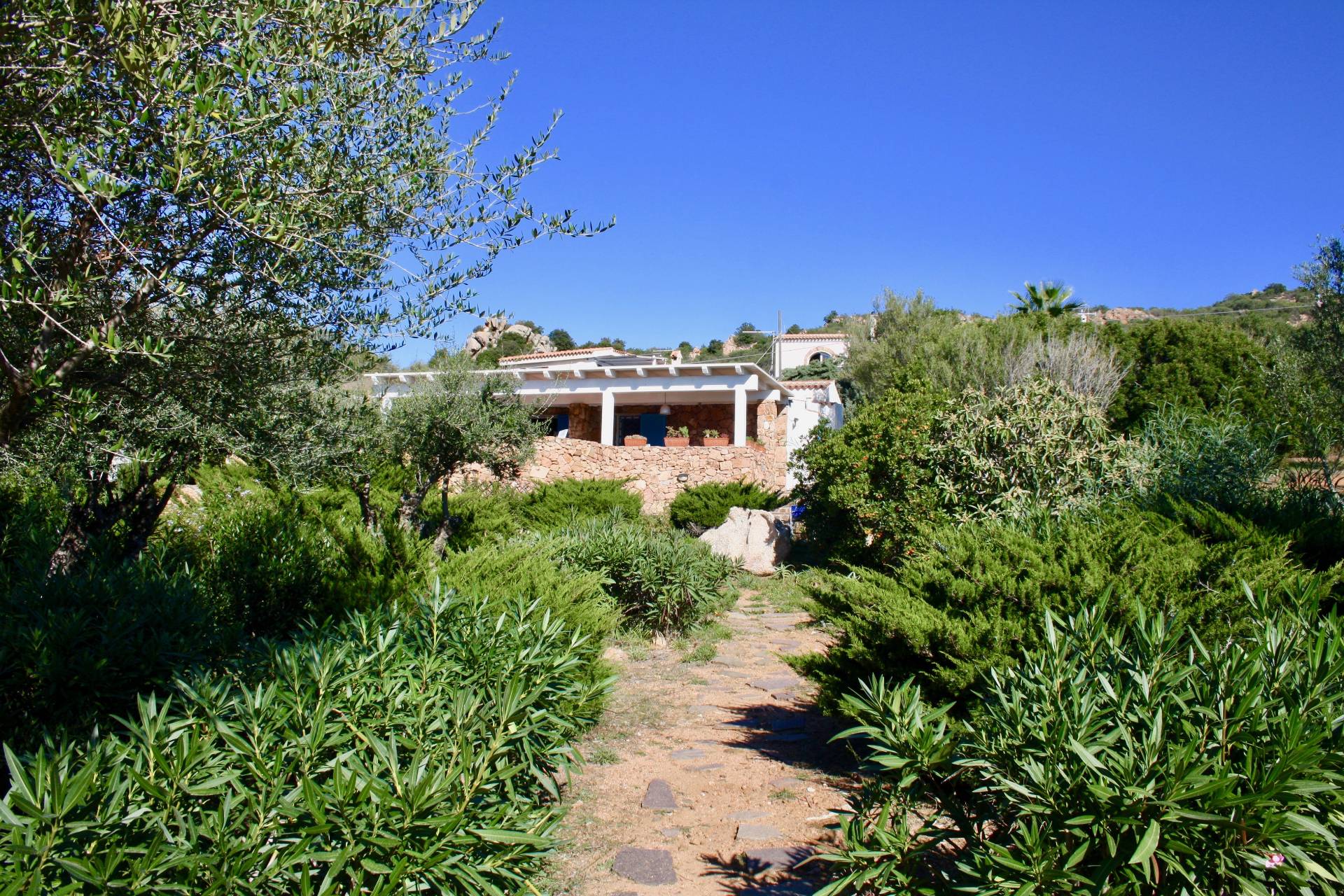 Villa OLBIA-TEMPIO affitto  Porto Istana  Coldwell Banker Immobiliare Costi&Partners