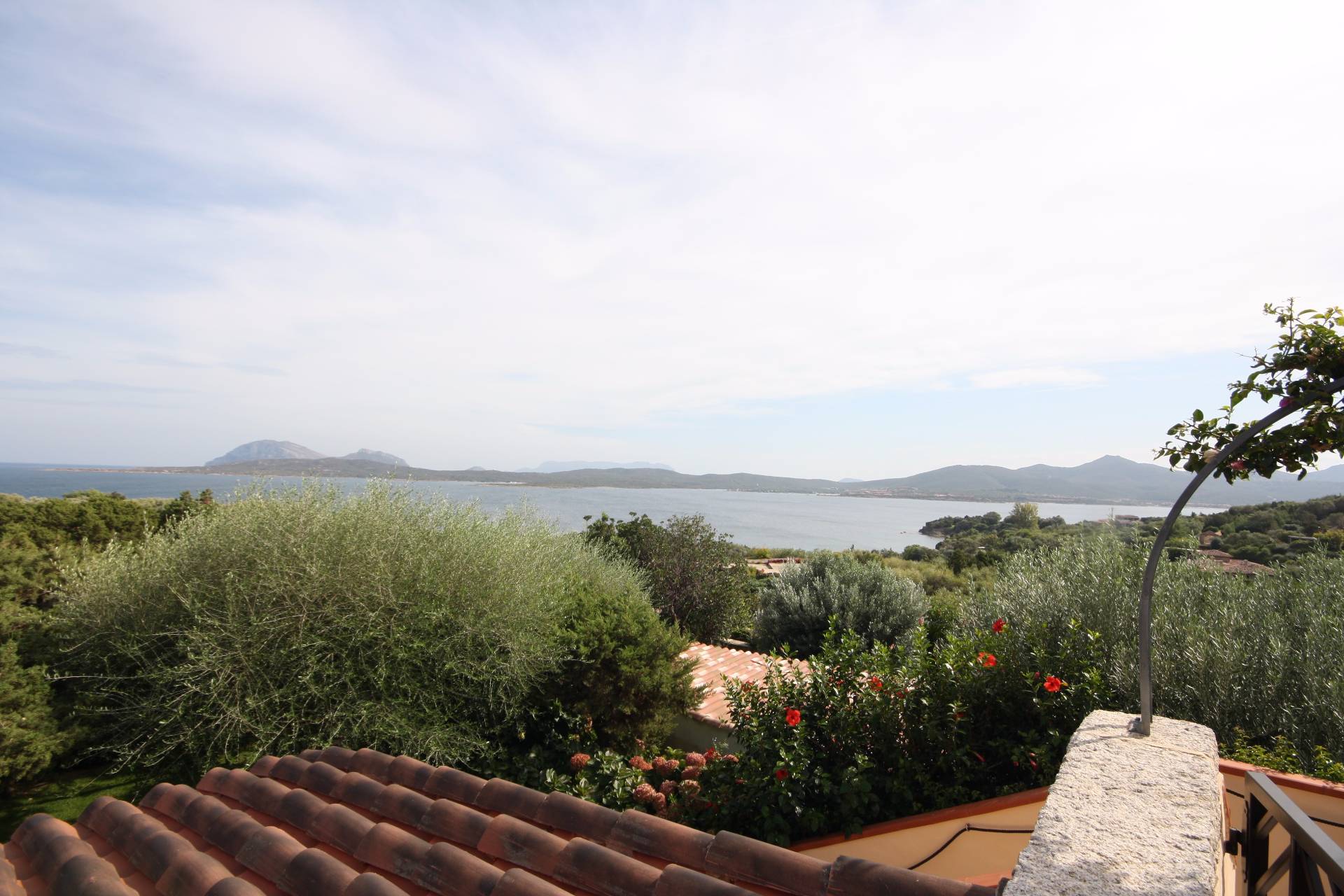 Villa OLBIA-TEMPIO affitto  Porto Rotondo  Coldwell Banker Immobiliare Costi&Partners