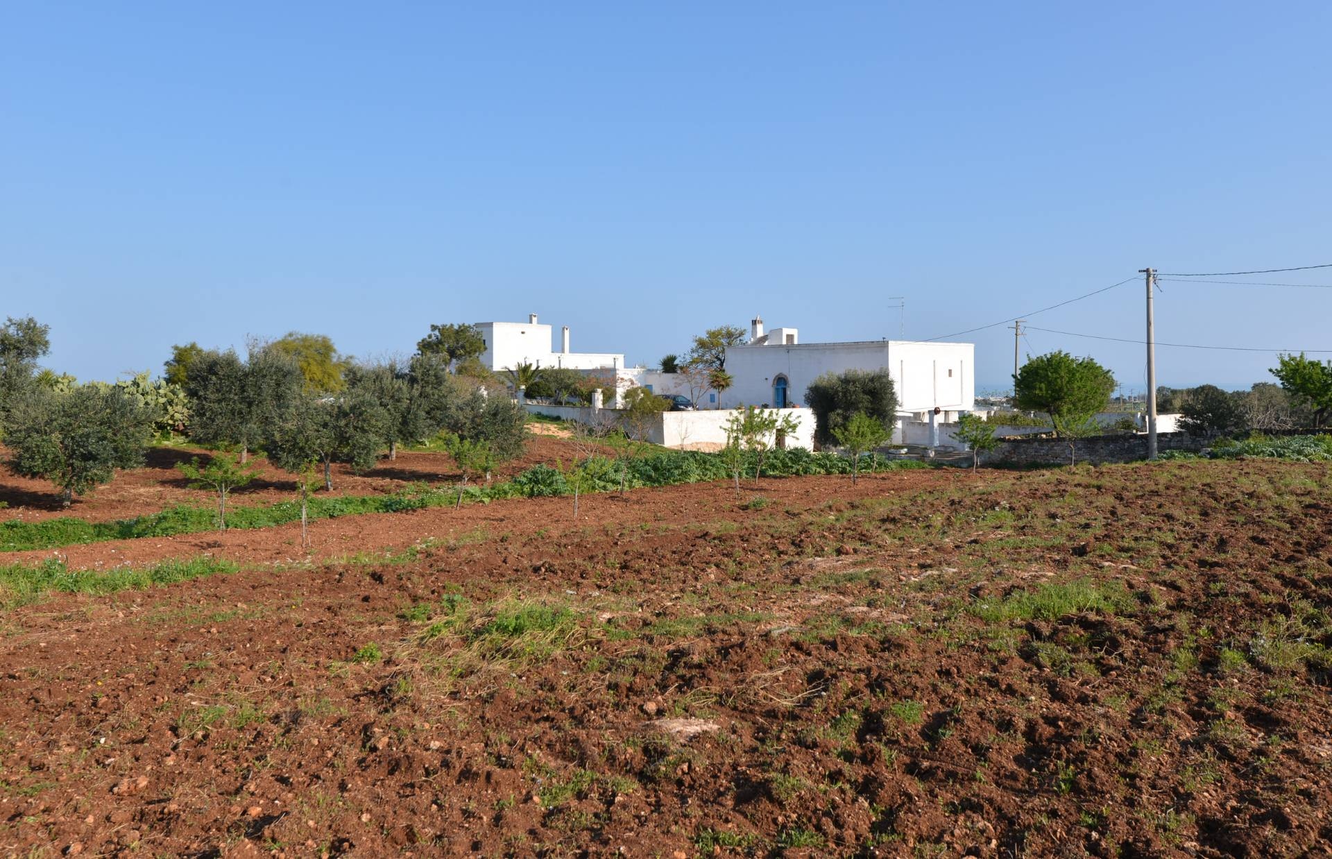 Rustico - Cascina OSTUNI vendita    Coldwell Banker Bodini International Real Estate