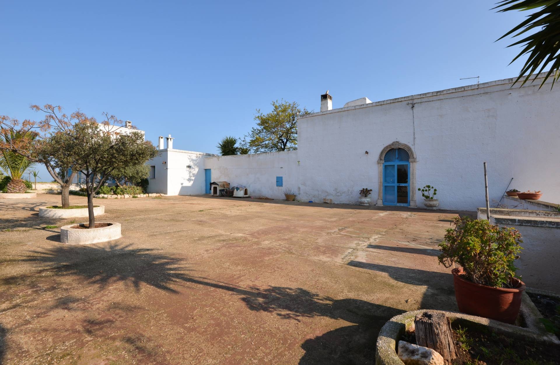 Rustico - Cascina OSTUNI vendita    Coldwell Banker Bodini International Real Estate