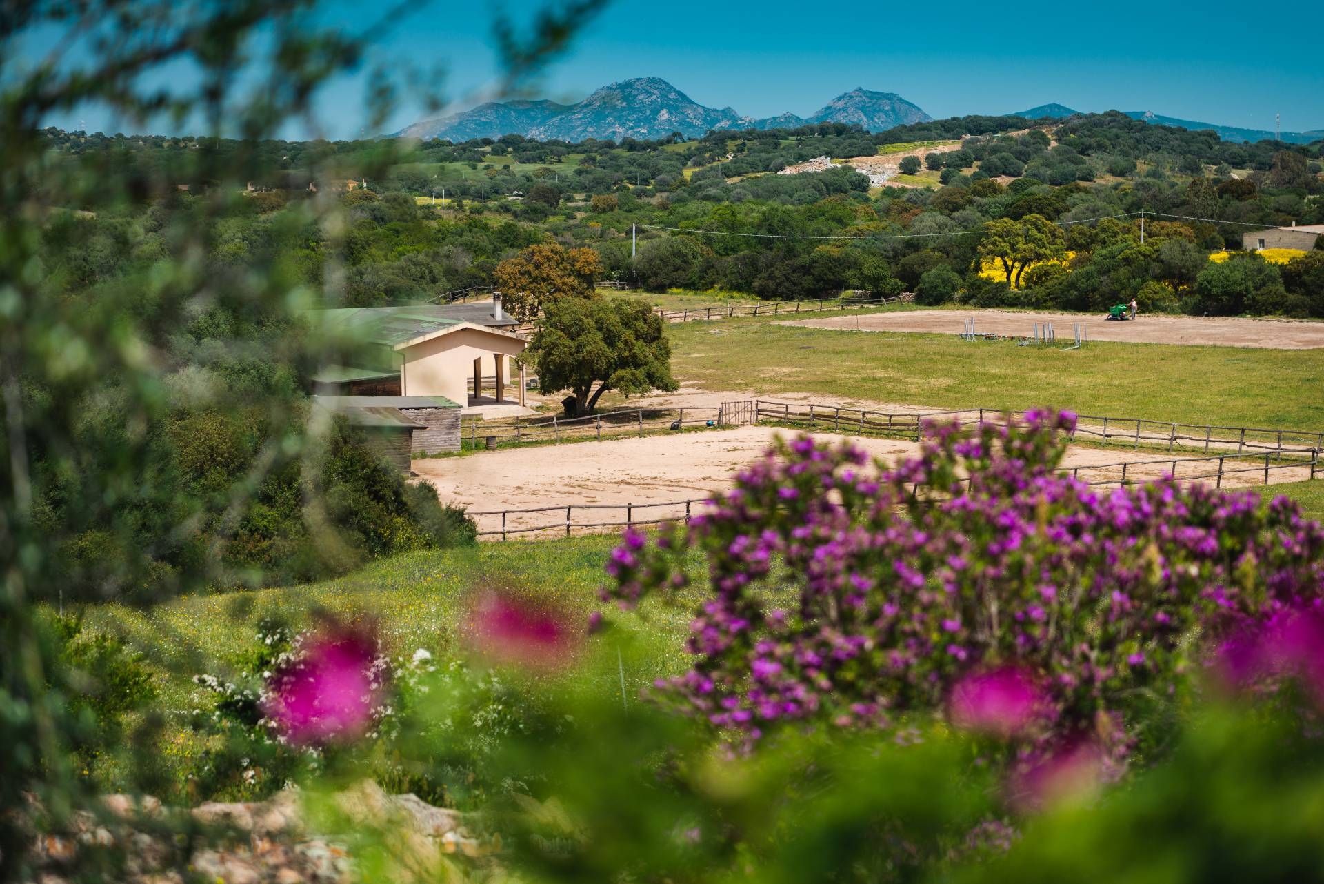  olbia-tempio vendita quart: olbia citt? coldwell banker costa smeralda - porto cervo