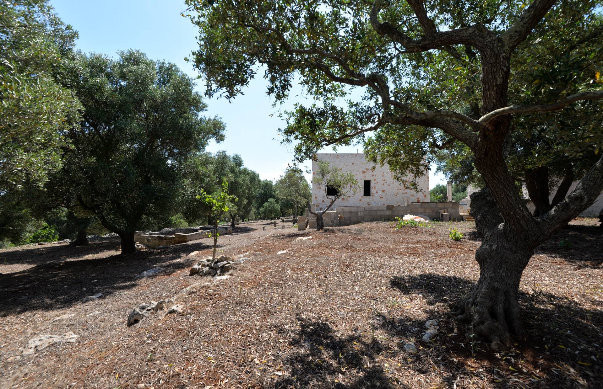 Villa OSTUNI vendita    Coldwell Banker Bodini International Real Estate