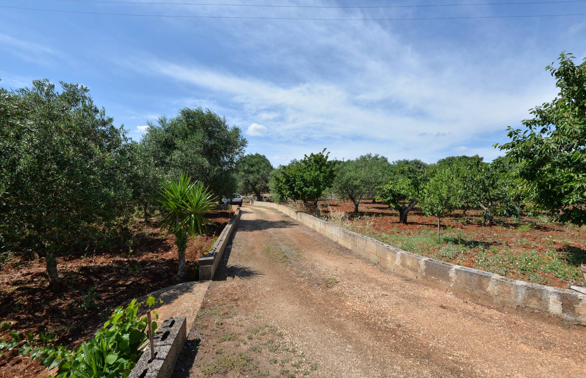 Villa OSTUNI vendita    Coldwell Banker Bodini International Real Estate