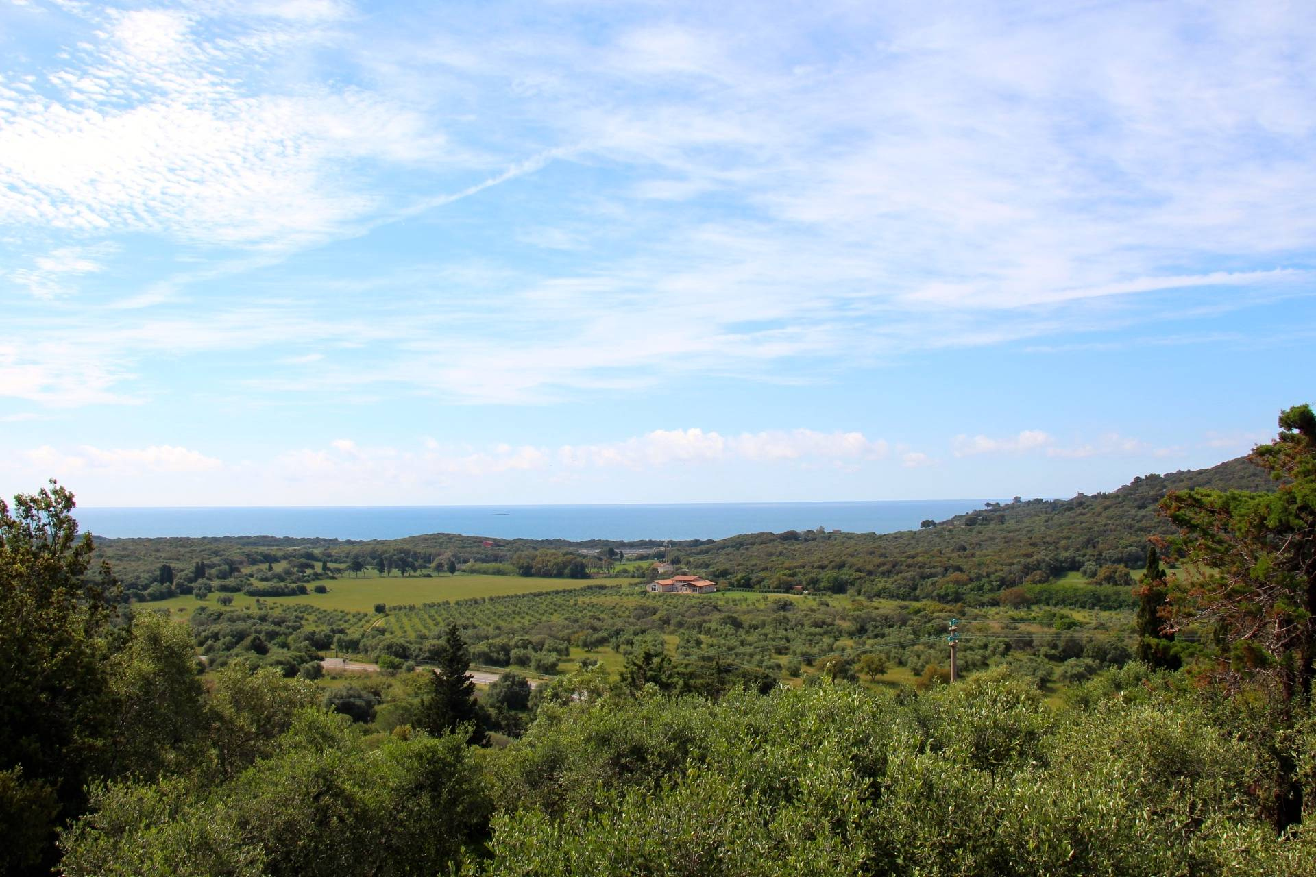 Villa Bifamiliare ORBETELLO vendita  Ansedonia  Coldwell Banker Cardoselli Fanteria Sabatini & Partners