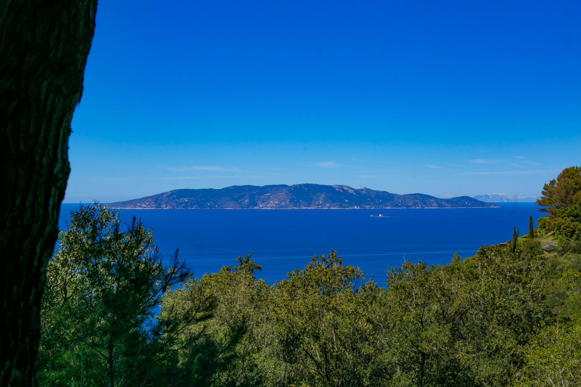 Villa MONTE ARGENTARIO vendita  Cala Piccola  Coldwell Banker Argentario - Porto Santo Stefano