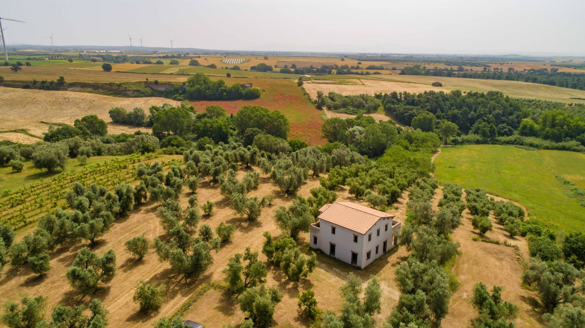 Rustico - Cascina CANINO vendita  Vulci  Coldwell Banker Prime Properties