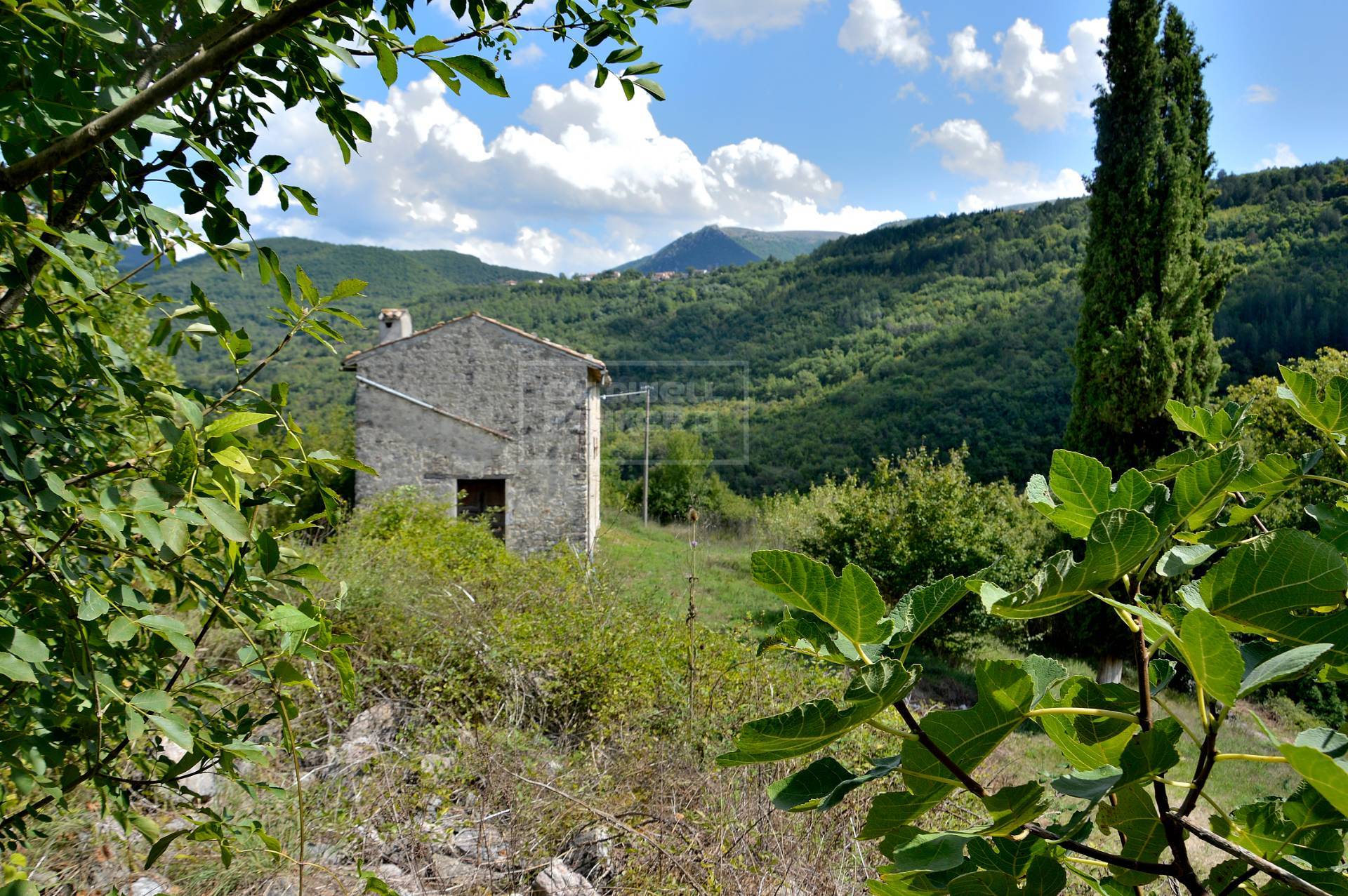 Rustico - Cascina CERRETO DI SPOLETO vendita  Borgo Cerreto  Coldwell Banker VLG Solutions