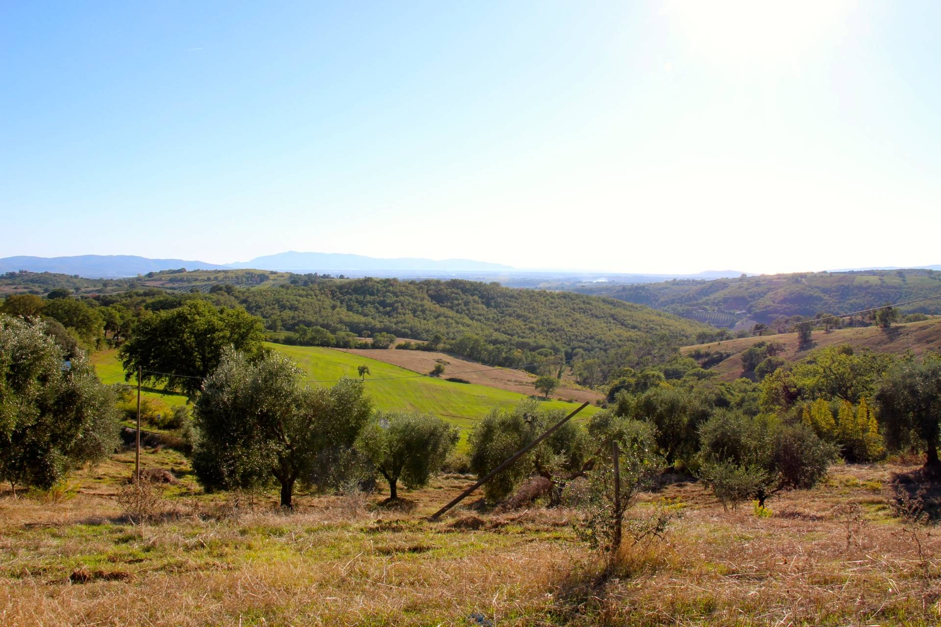 Rustico - Cascina MAGLIANO IN TOSCANA vendita    Coldwell Banker Cardoselli Fanteria Sabatini & Partners