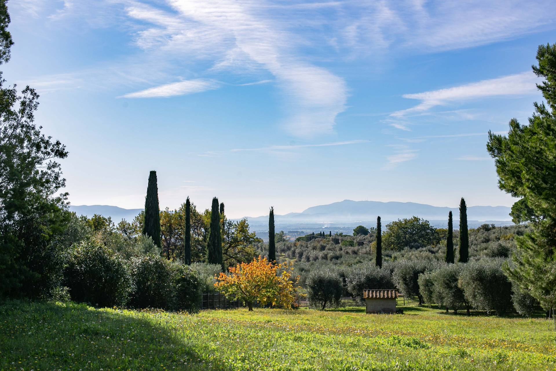 Villa MAGLIANO IN TOSCANA vendita    Coldwell Banker Argentario - Porto Santo Stefano