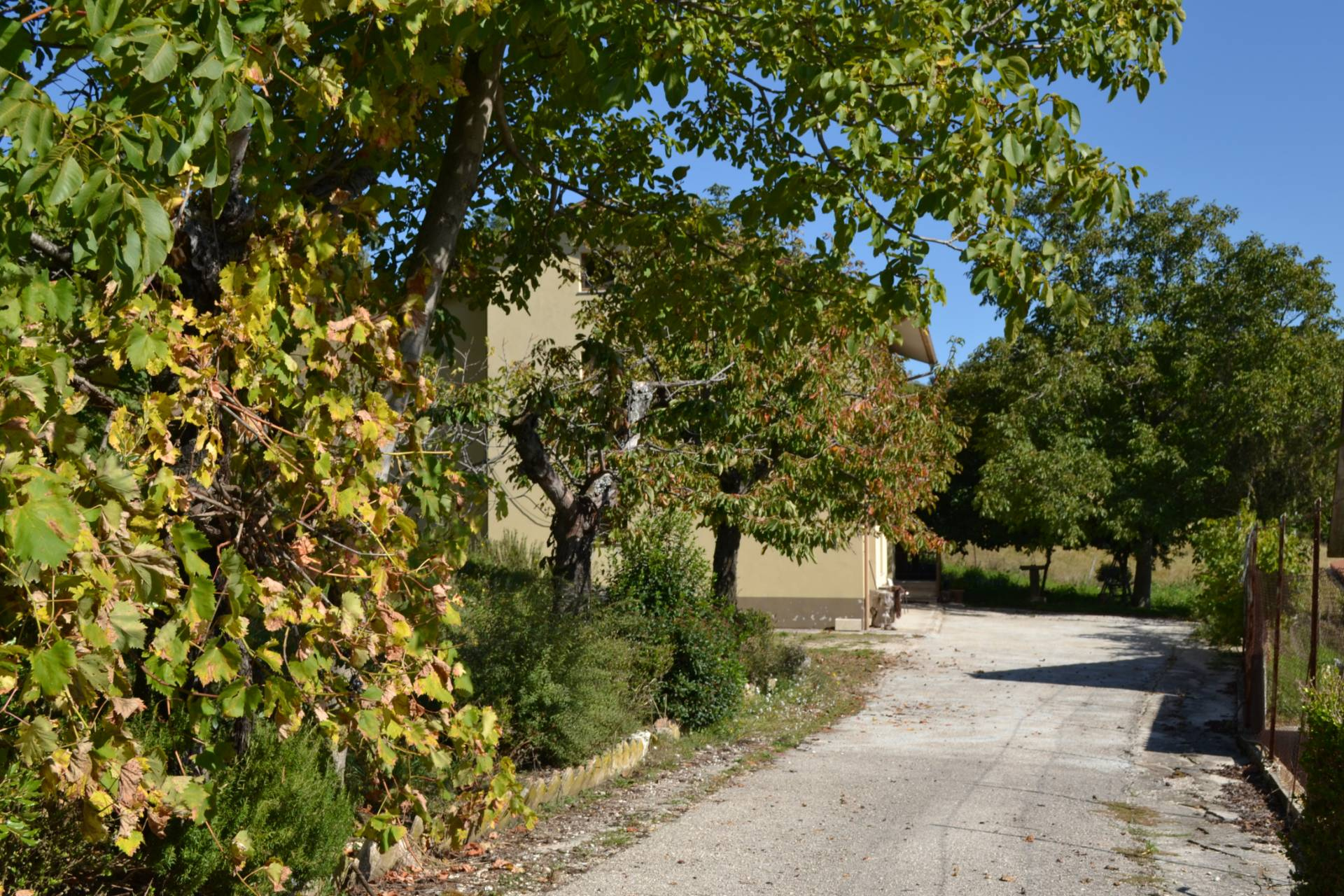  vallo di nera vendita quart: meggiano coldwell banker vlg solutions