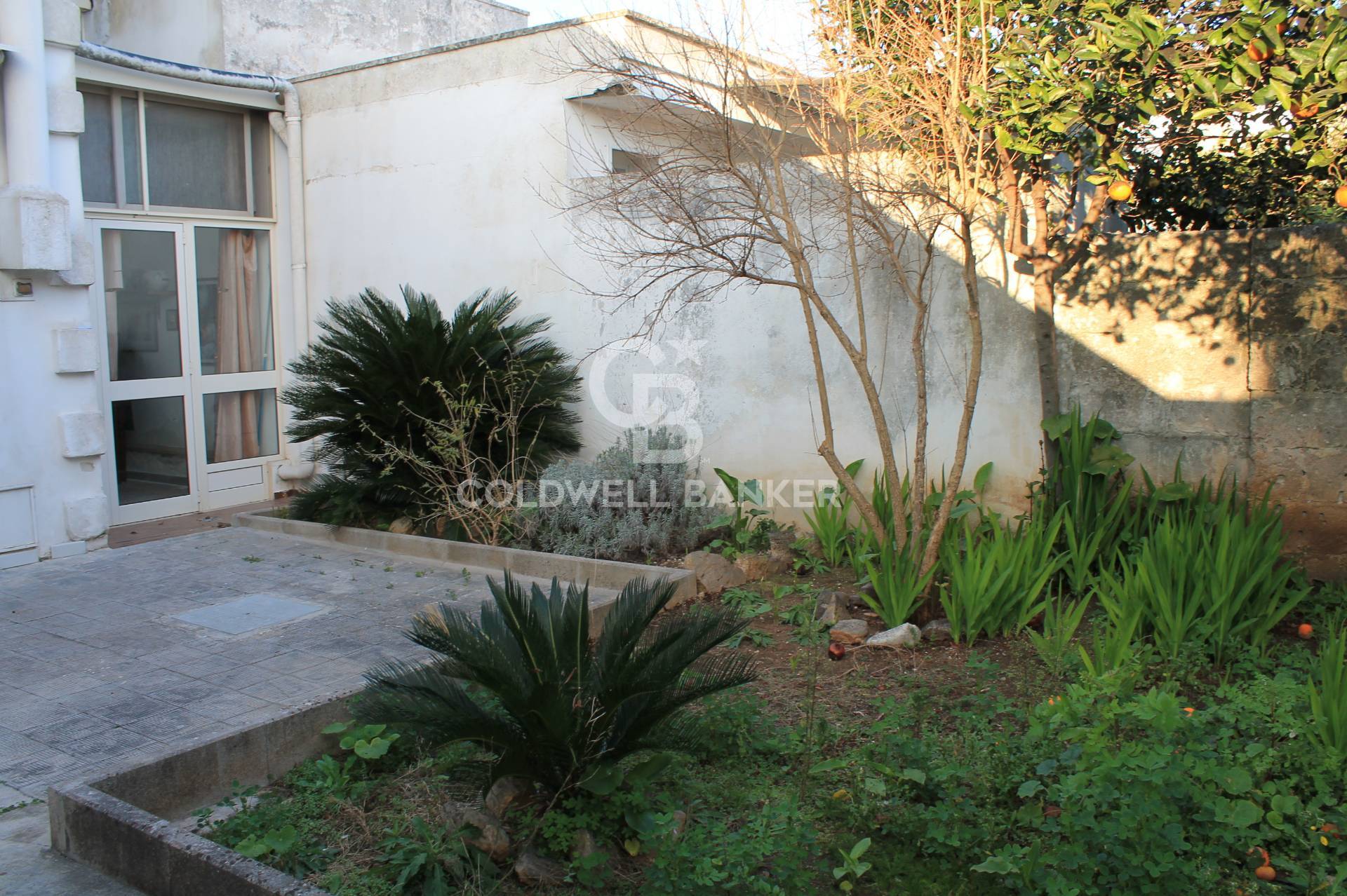  corigliano d