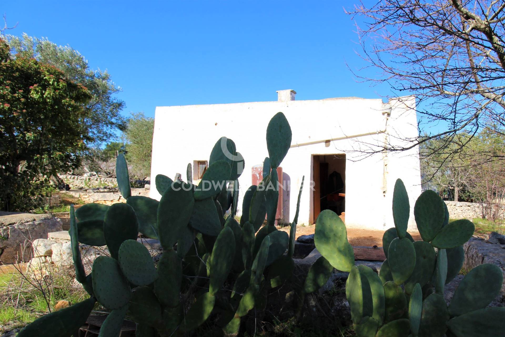  ostuni vendita quart:  coldwell banker bodini international real estate