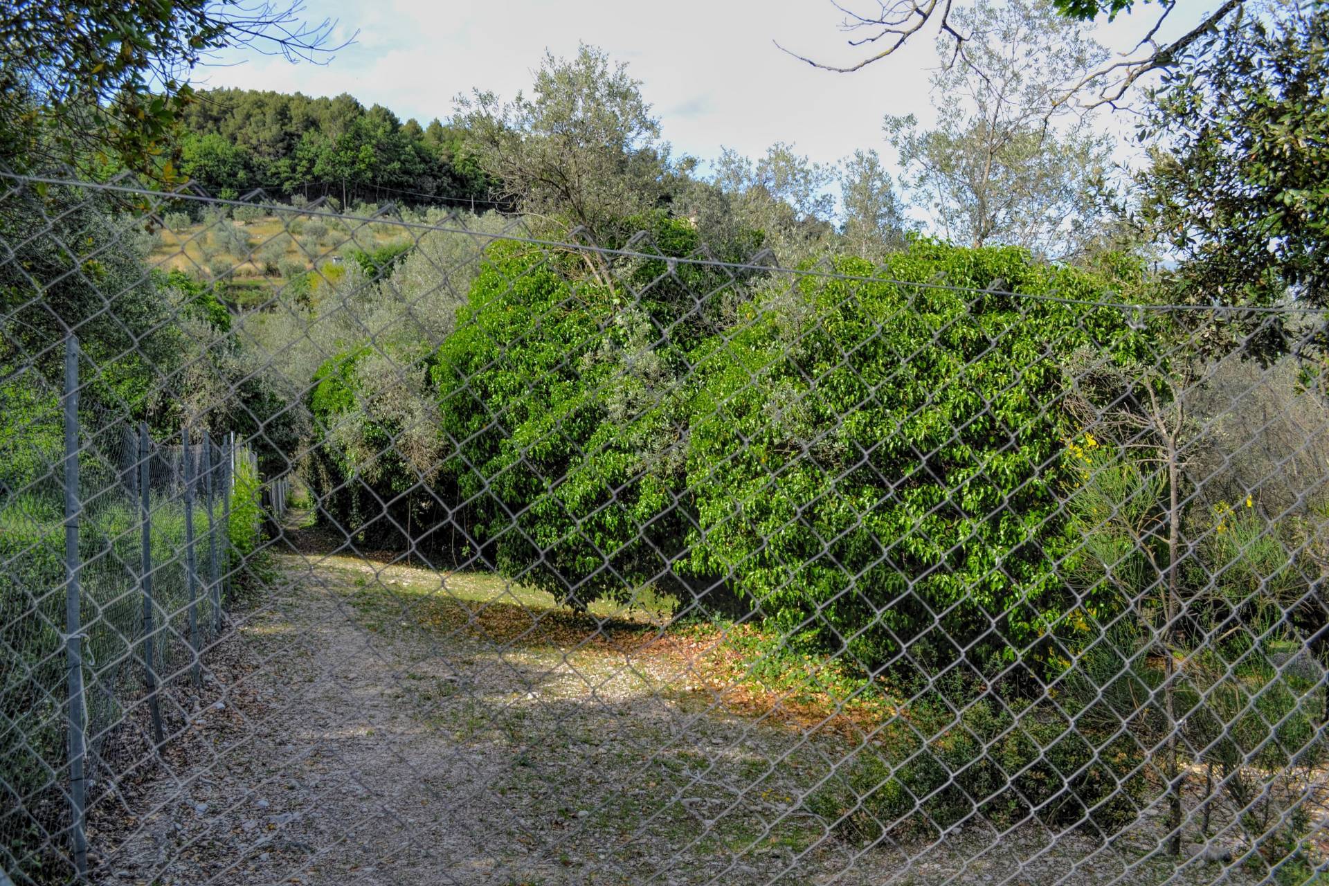 Villa Unifamiliare - Indipendente TERNI vendita  Torreorsina  Coldwell Banker VLG Solutions