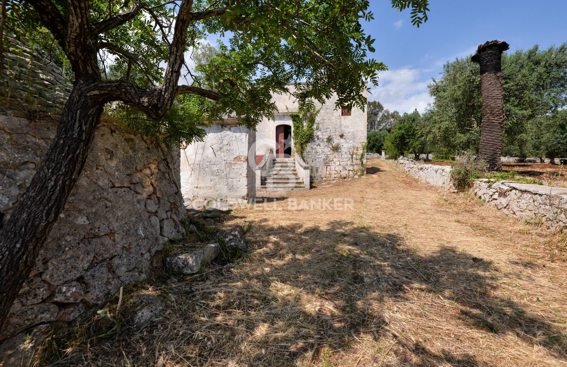 Rustico - Cascina OSTUNI vendita    Coldwell Banker Bodini International Real Estate