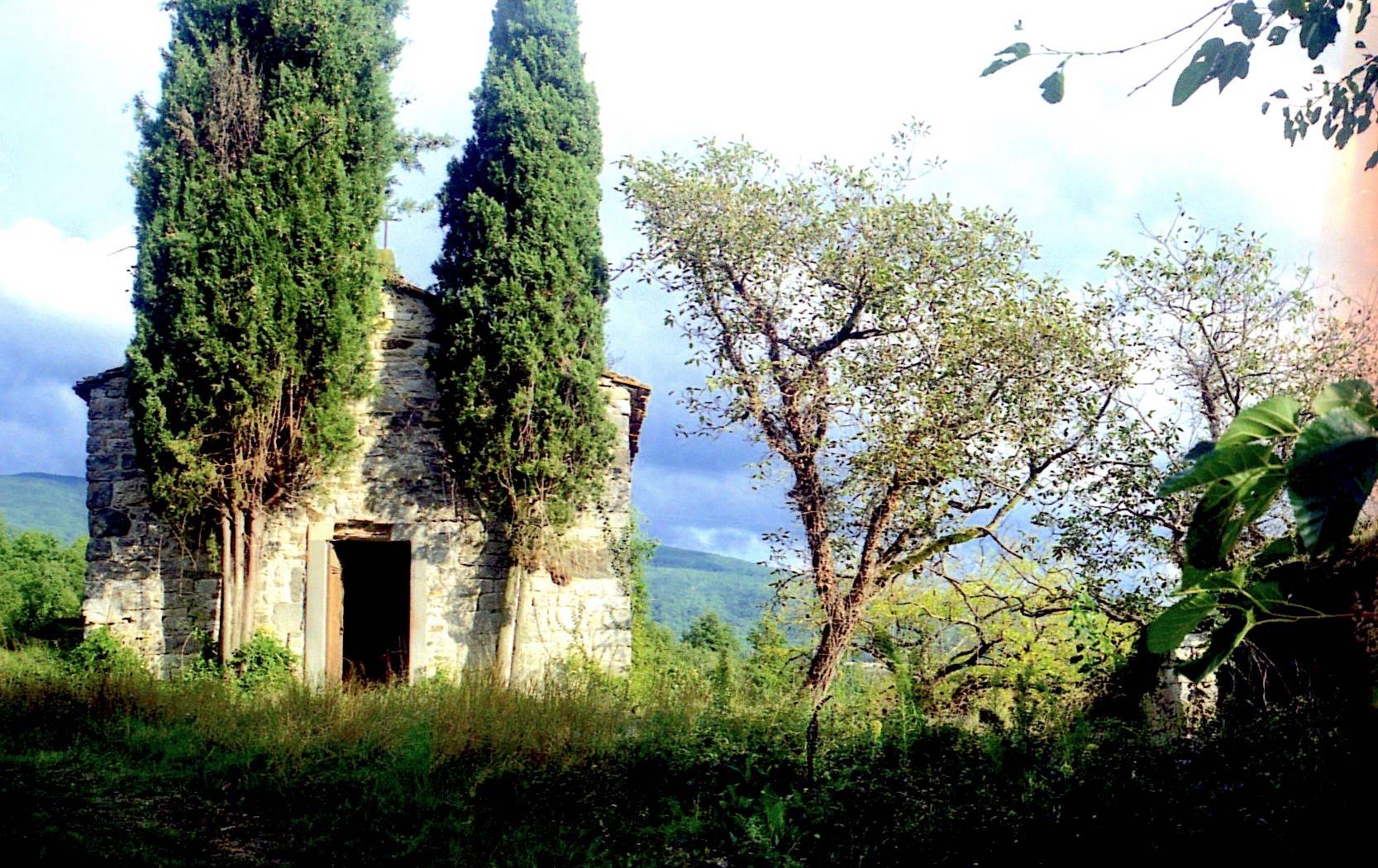 Rustico - Cascina SUBBIANO vendita  Poggio d