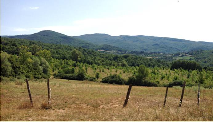 Rustico - Cascina SUBBIANO vendita  Poggio d