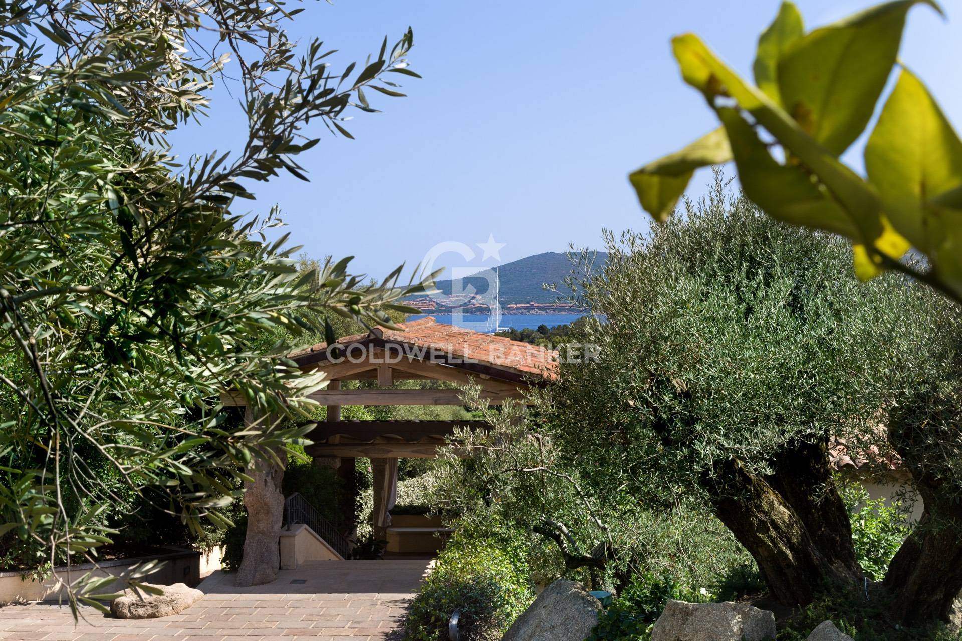 Villa OLBIA-TEMPIO affitto  Porto Rotondo  Coldwell Banker Costa Smeralda - Porto Cervo