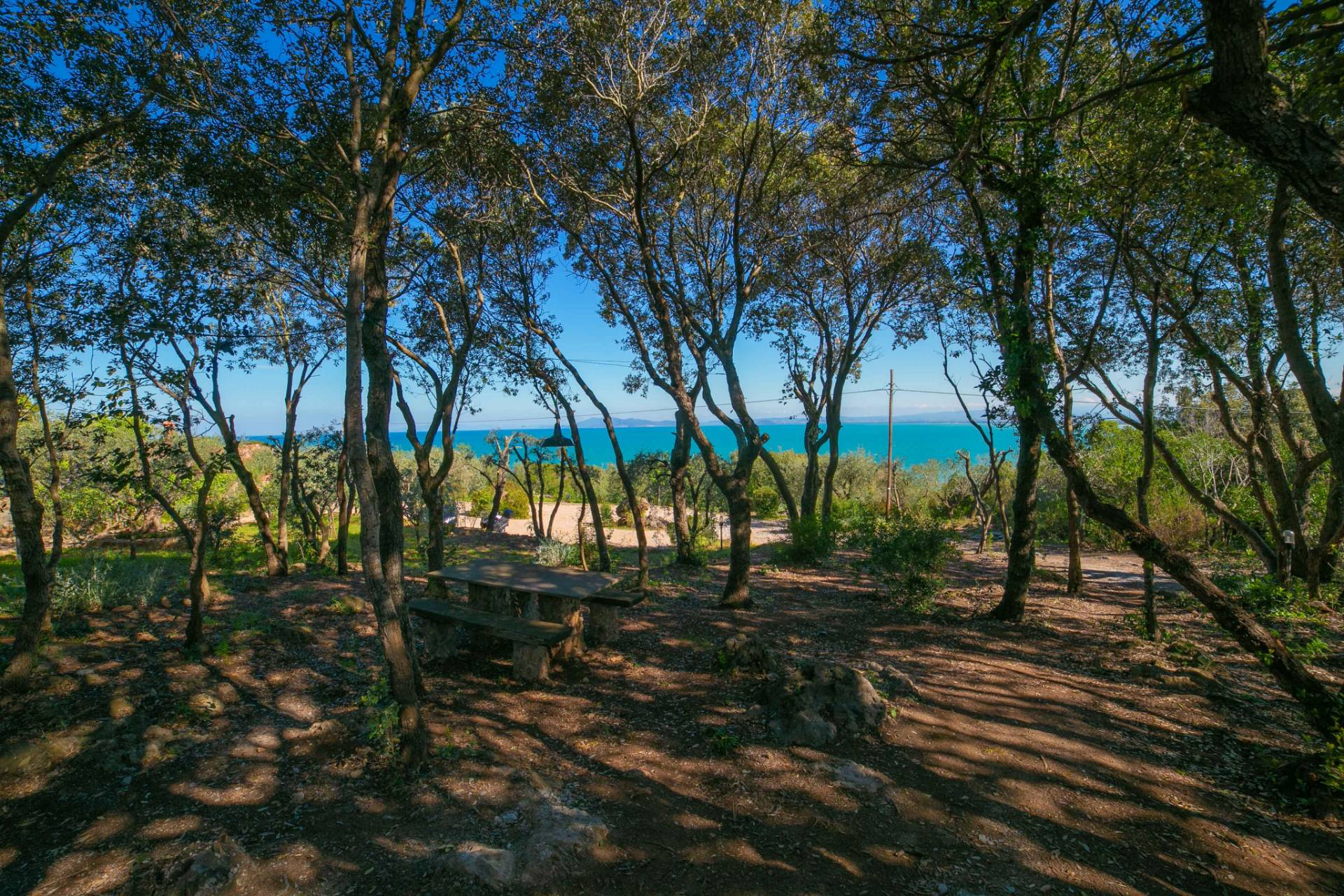  monte-argentario affitto quart: santa liberata coldwell-banker-argentario-porto-santo-stefano