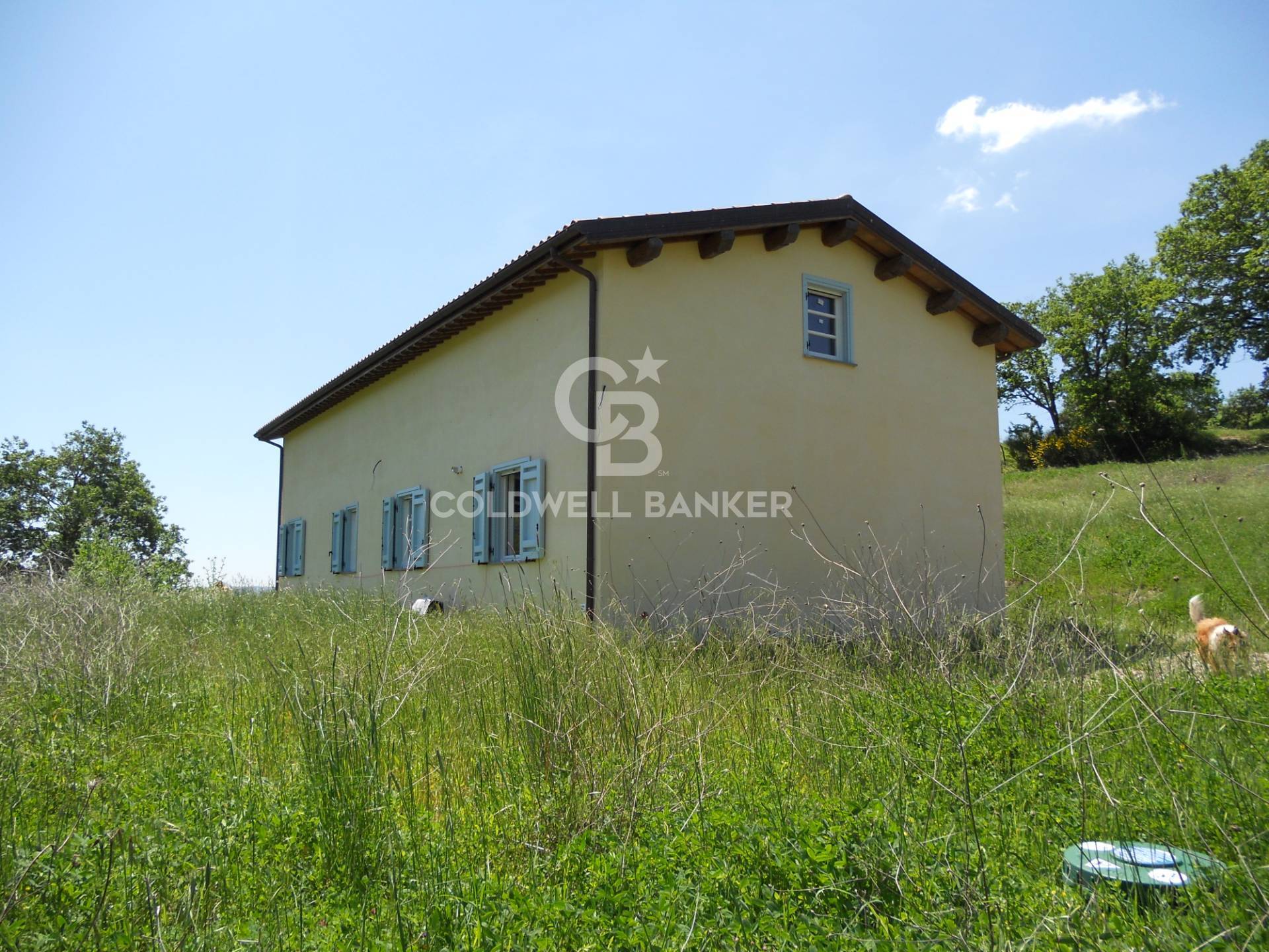 Rustico - Cascina PROCENO vendita  Osteriola  Coldwell Banker Immobiliare NET/RE