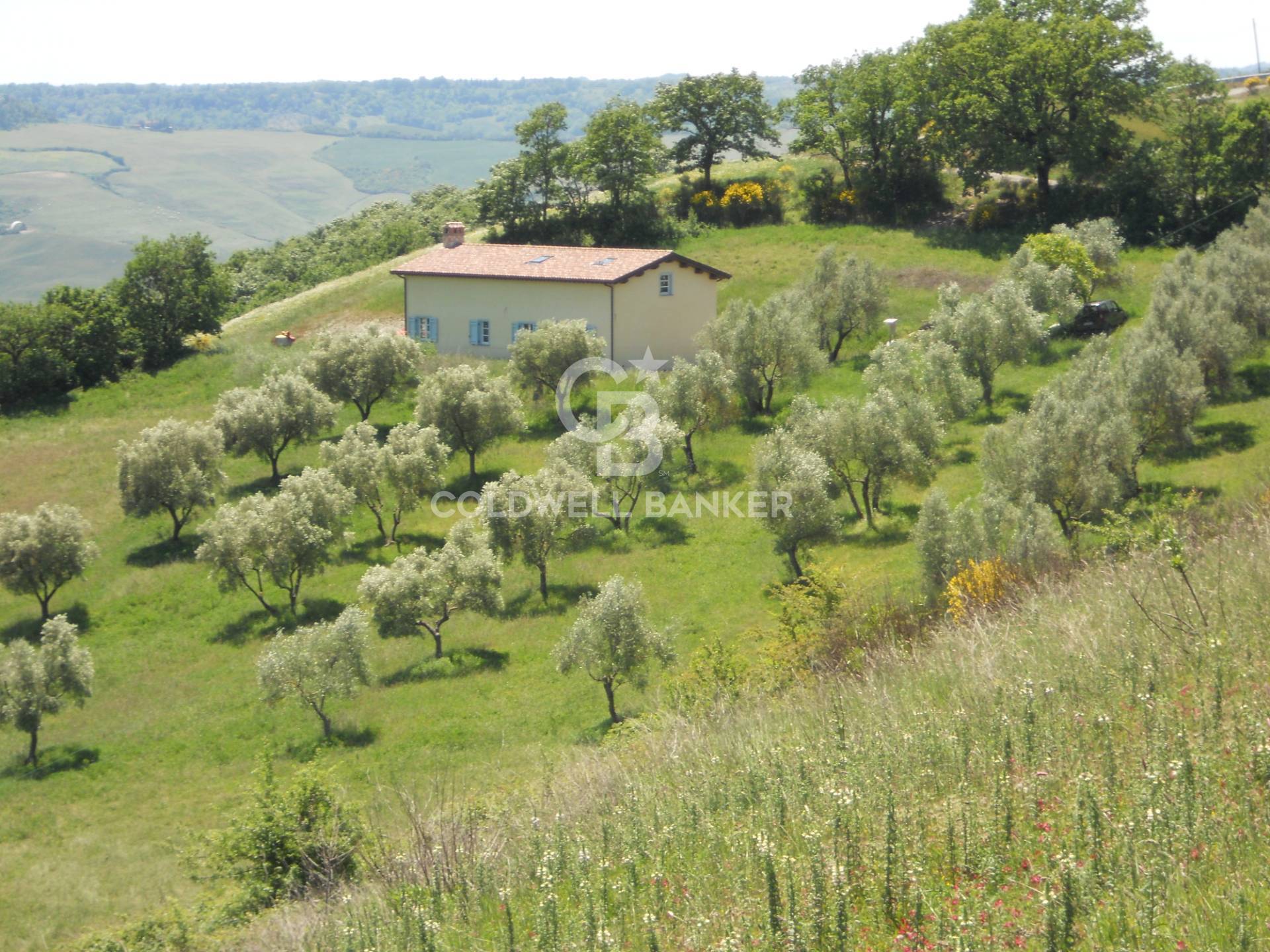 Rustico - Cascina PROCENO vendita  Osteriola  Coldwell Banker Immobiliare NET/RE